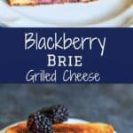 Blackberry Brie Grilled Cheese Sandwich - perfect end of summer / early Fall snack or meal! Sweet and savory combo gives a fun twist on the classic.