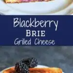 Blackberry Brie Grilled Cheese Sandwich - perfect end of summer / early Fall snack or meal! Sweet and savory combo gives a fun twist on the classic.