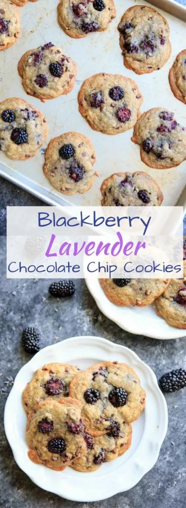 Blackberry Lavender Chocolate Chip Cookies - a unique twist on the classic with some fruit and dried lavender. Perfect dessert in summertime!