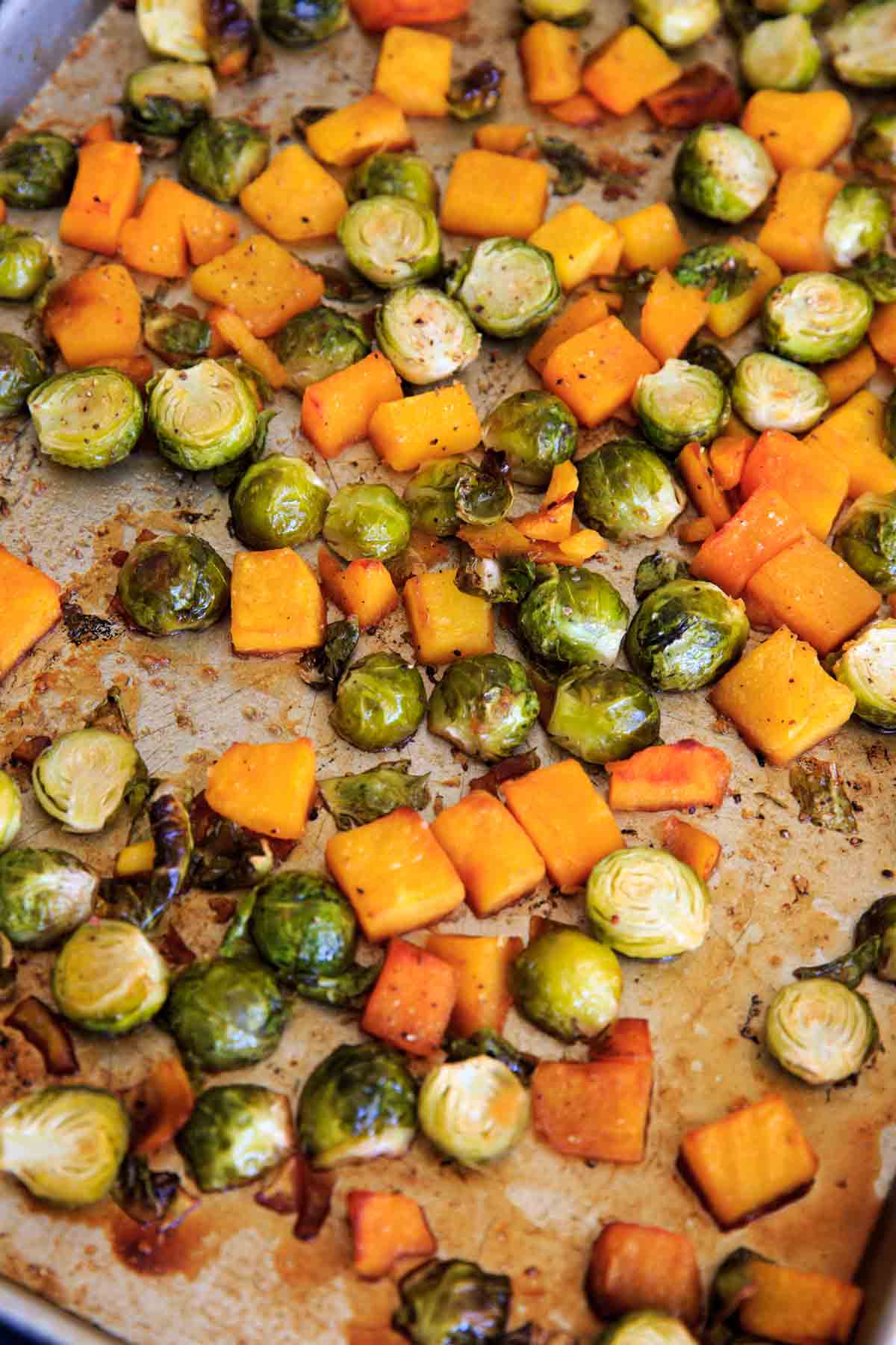 Maple Roasted Brussels Sprout and Butternut Squash with crushed pecans and dried cranberries. A perfect appetizer or side for holiday or fall dinners.