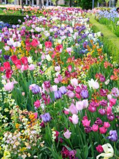 salt lake city temple square garden