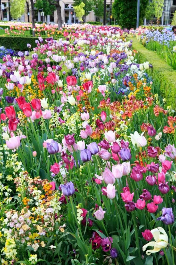 salt lake city temple square garden