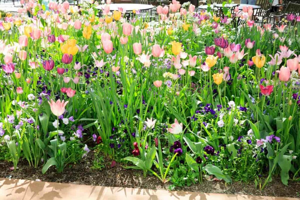 salt lake city temple square garden