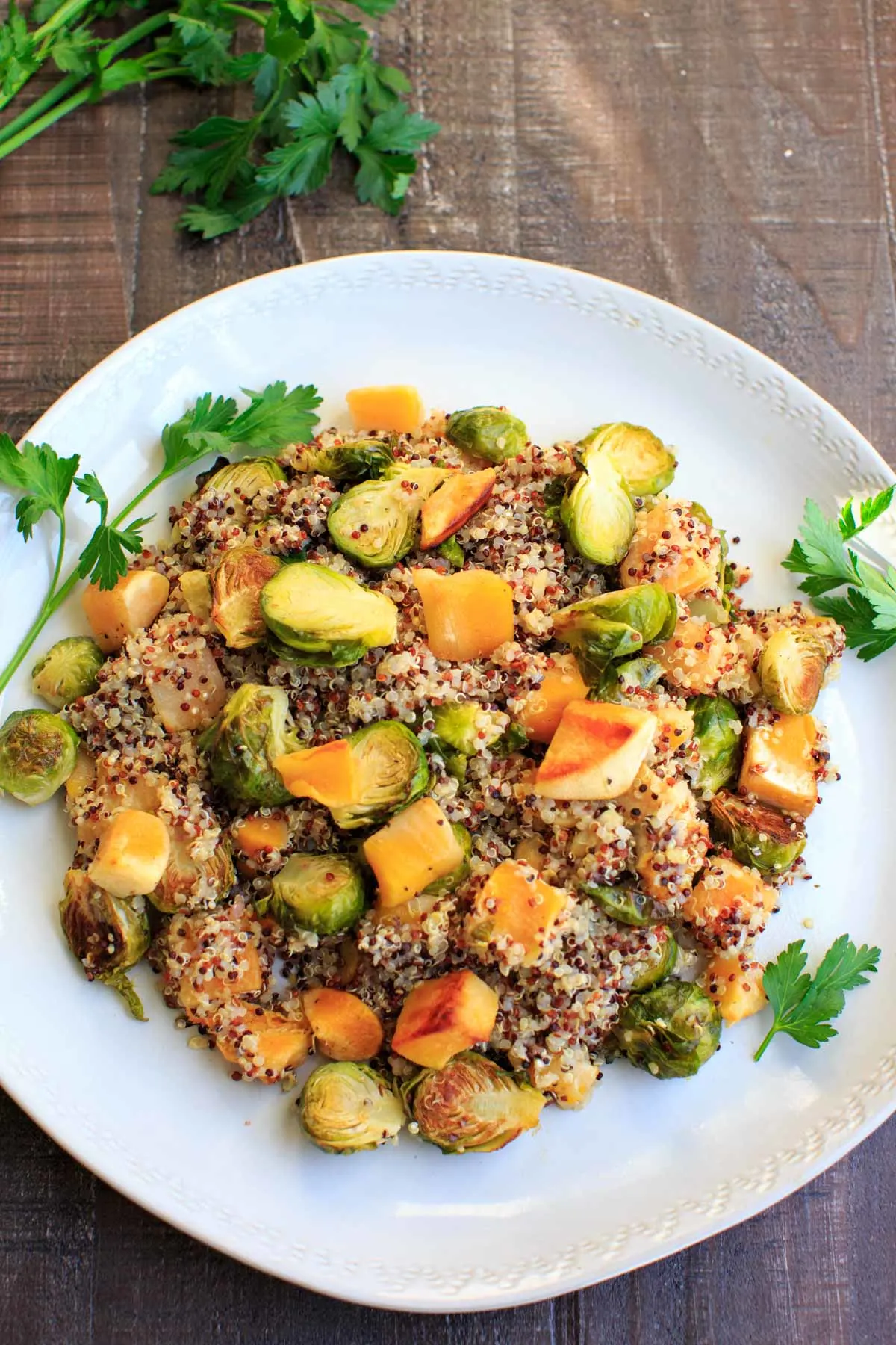 quinoa, brussels sprouts and butternut squash on white plate with parsley