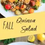 Fall Quinoa Salad with Brussels Sprouts, Butternut Squash, Tomatoes, Lemon and Parsley. A warm, delicious meal that is vegan and gluten-free.