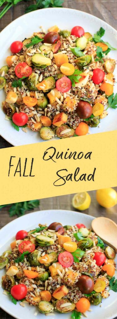 Fall Quinoa Salad with Brussels Sprouts, Butternut Squash, Tomatoes, Lemon and Parsley. A warm, delicious meal that is vegan and gluten-free.