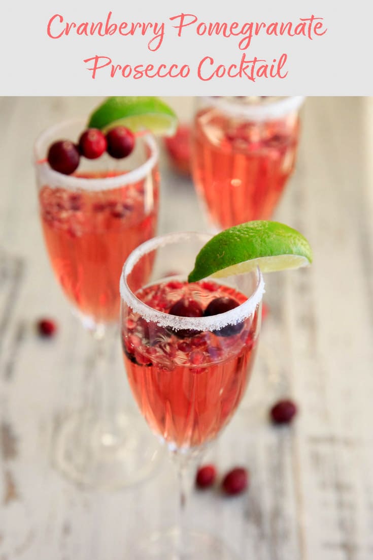 Cranberry Pomegranate Prosecco Cocktail - Trial and Eater