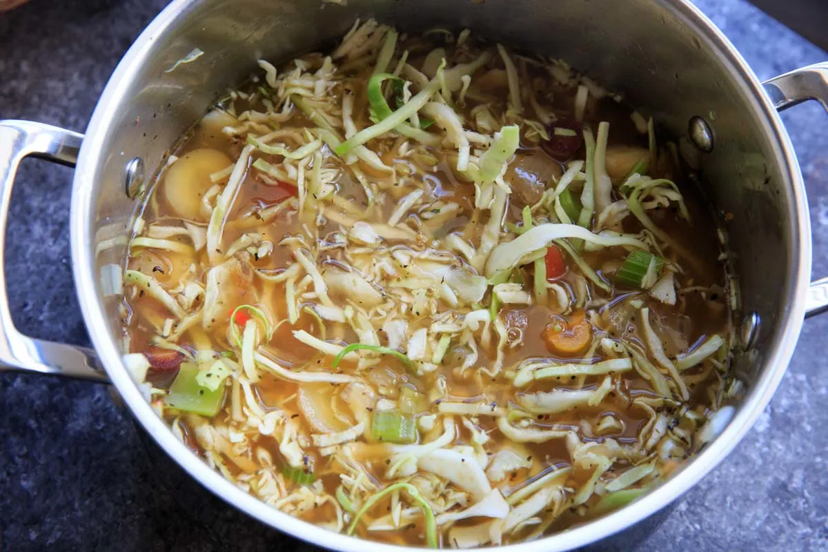 non-starchy veggies with cabbage in stove pot - detox cabbage soup