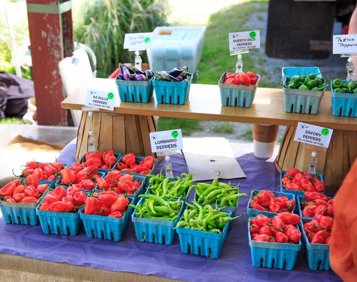 Durham Farmers Market peppers