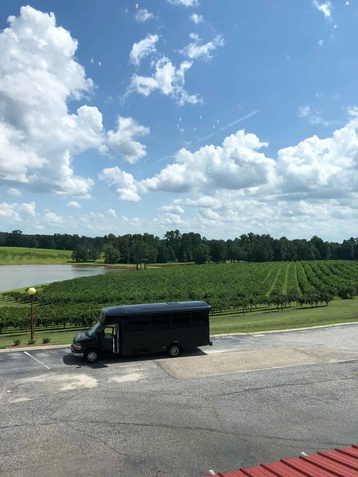 Gregory Vineyards Angier, NC view
