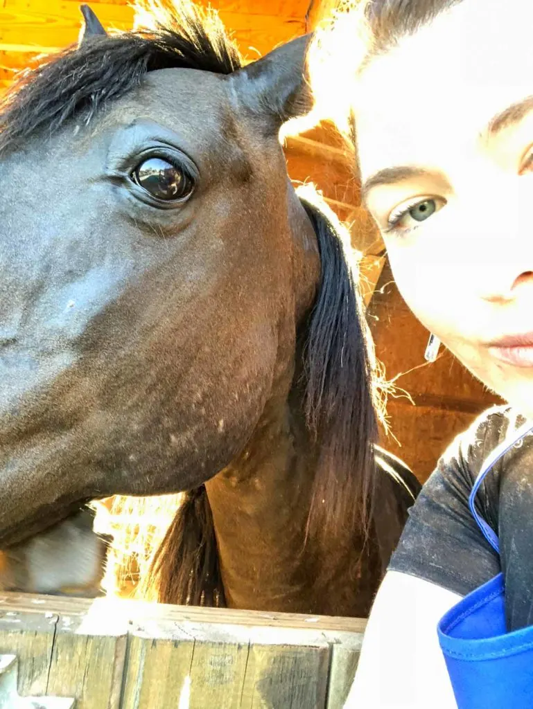 Horse wanted to take a selfie
