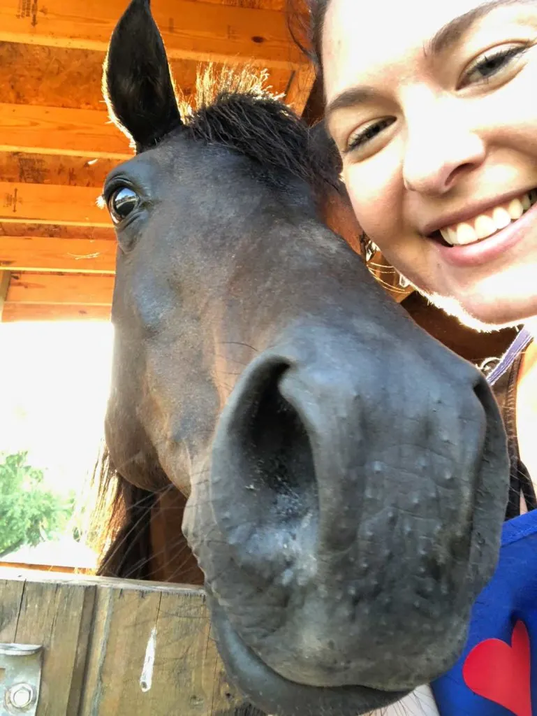 Horse wanted to take a selfie