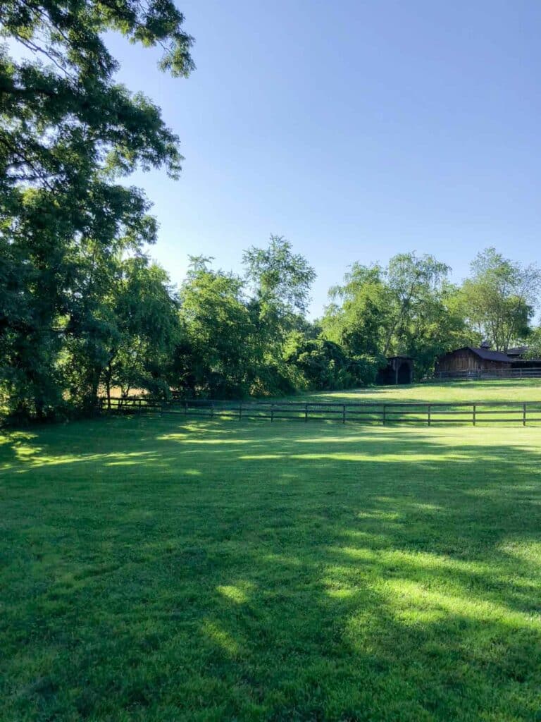 View of the Farm yard