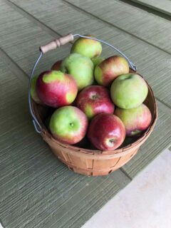 peck of apples from sky top orchard