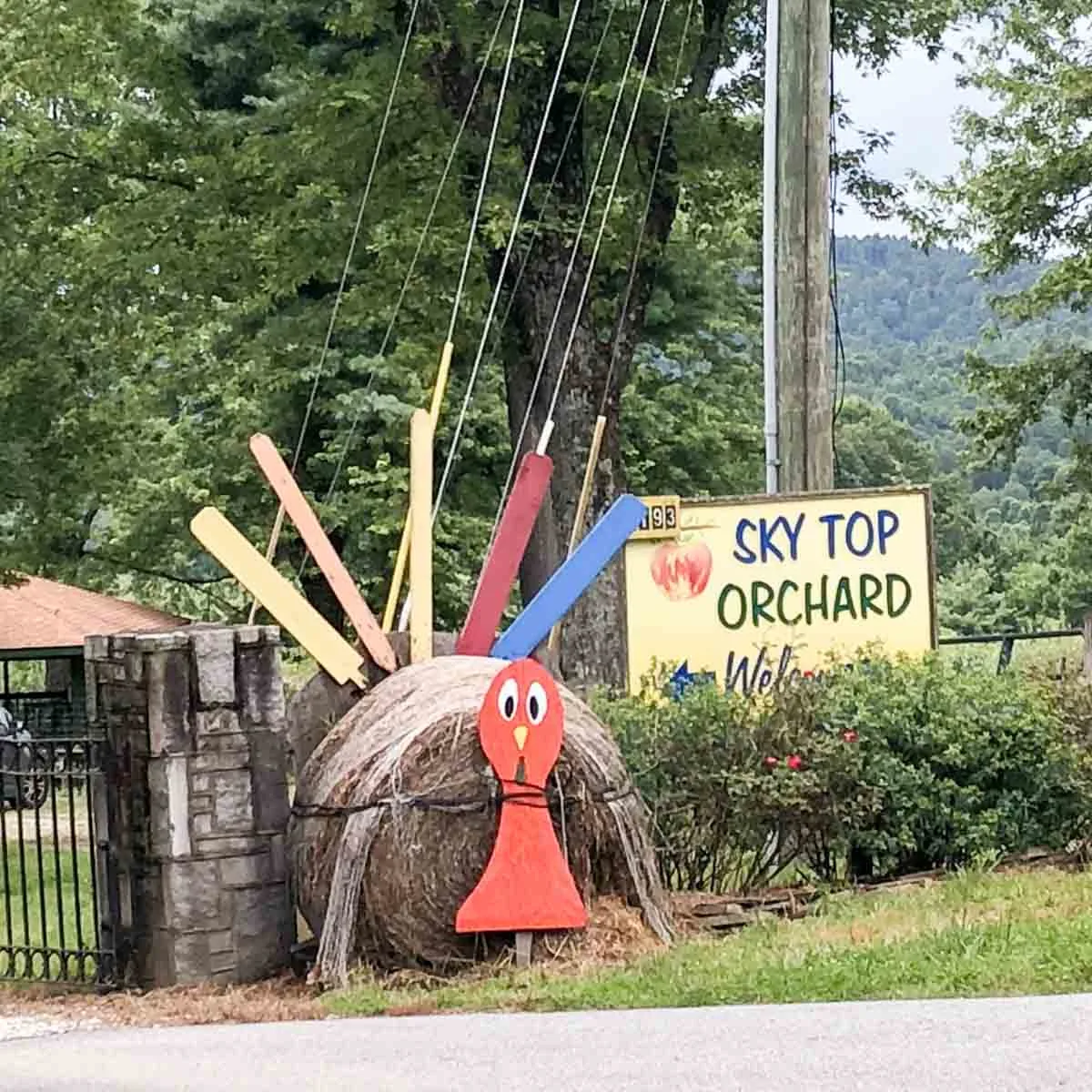 Sky Top Orchard sign