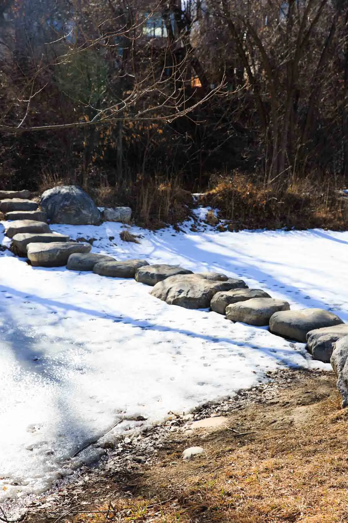 Boulder creek path views