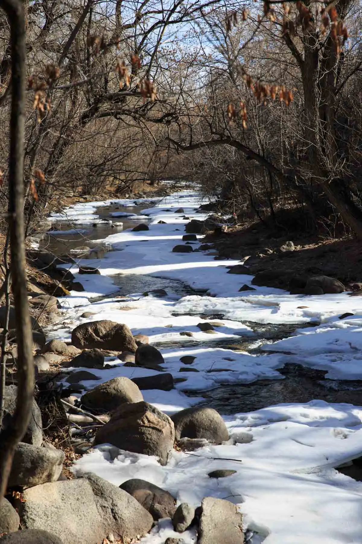 Boulder creek path views