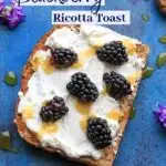 Blackberry Ricotta Toast with honey drizzle. Makes for a great breakfast, midday snack, or even a fruit berry dessert!