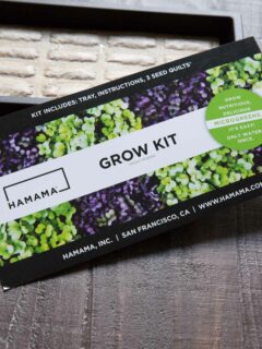 Hamama grow kit
