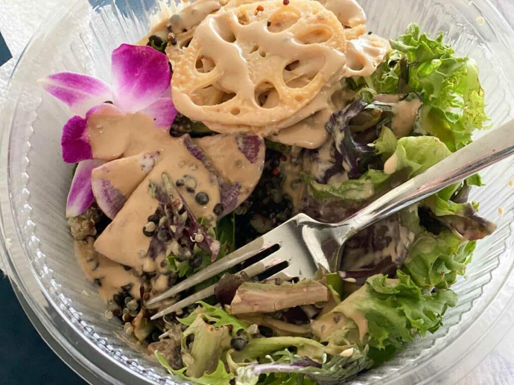 sakara earth bowl with lotus root