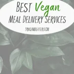 Meal delivery services don't always include an option for those who eat a vegan or a dairy-free diet - but these are a few of the best ones we've tried who do!