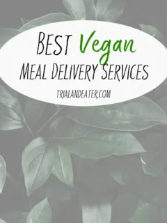 Meal delivery services don't always include an option for those who eat a vegan or a dairy-free diet - but these are a few of the best ones we've tried who do!