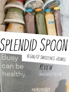 A review of the plant-based soups, smoothie and grain bowl delivery service, SplendidSpoon.com! All of their meals and smoothies are vegan and gluten-free. Read more about them and find out their latest specials here!