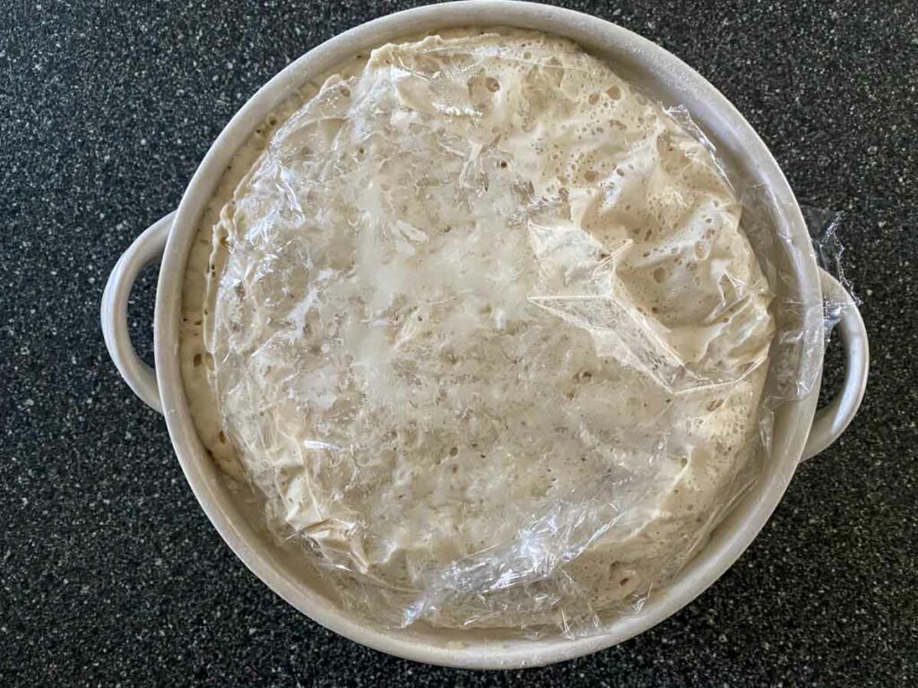 no-knead bread dough after first rise with plastic wrap