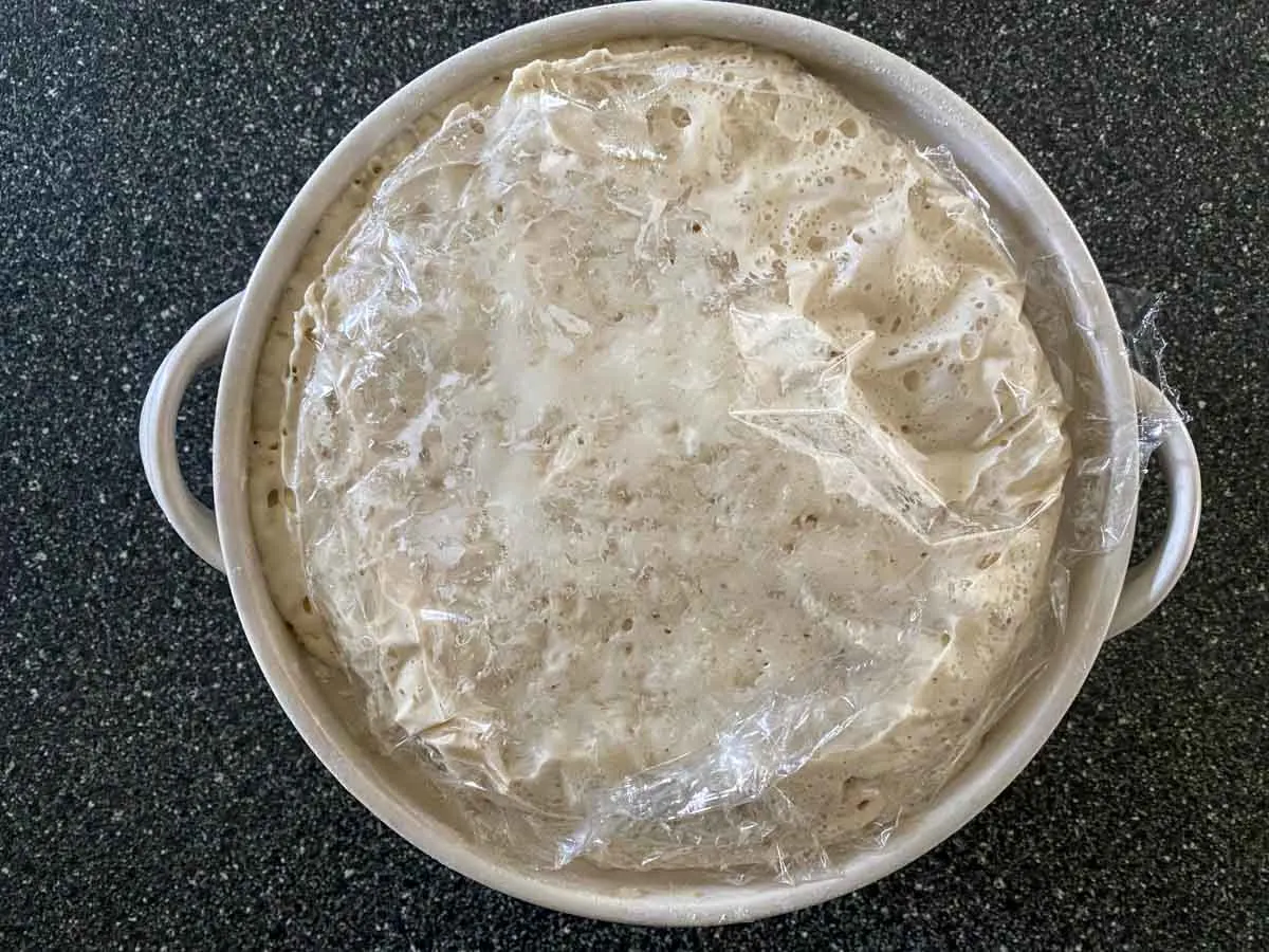 no-knead bread dough after first rise with plastic wrap.