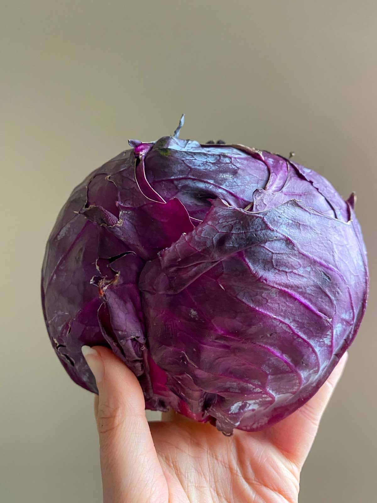 hand holding purple cabbage in the air