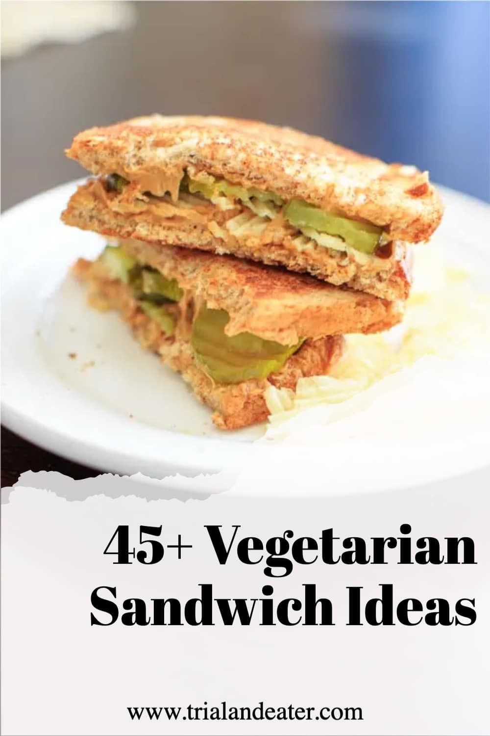45+ Vegetarian Sandwich Ideas - Trial and Eater