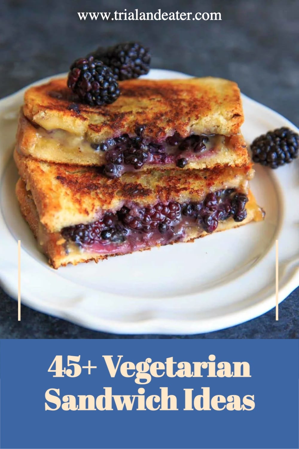 45+ Vegetarian Sandwich Ideas - Trial and Eater