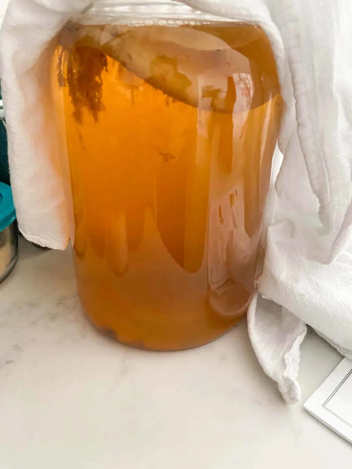 kombucha almost done brewing