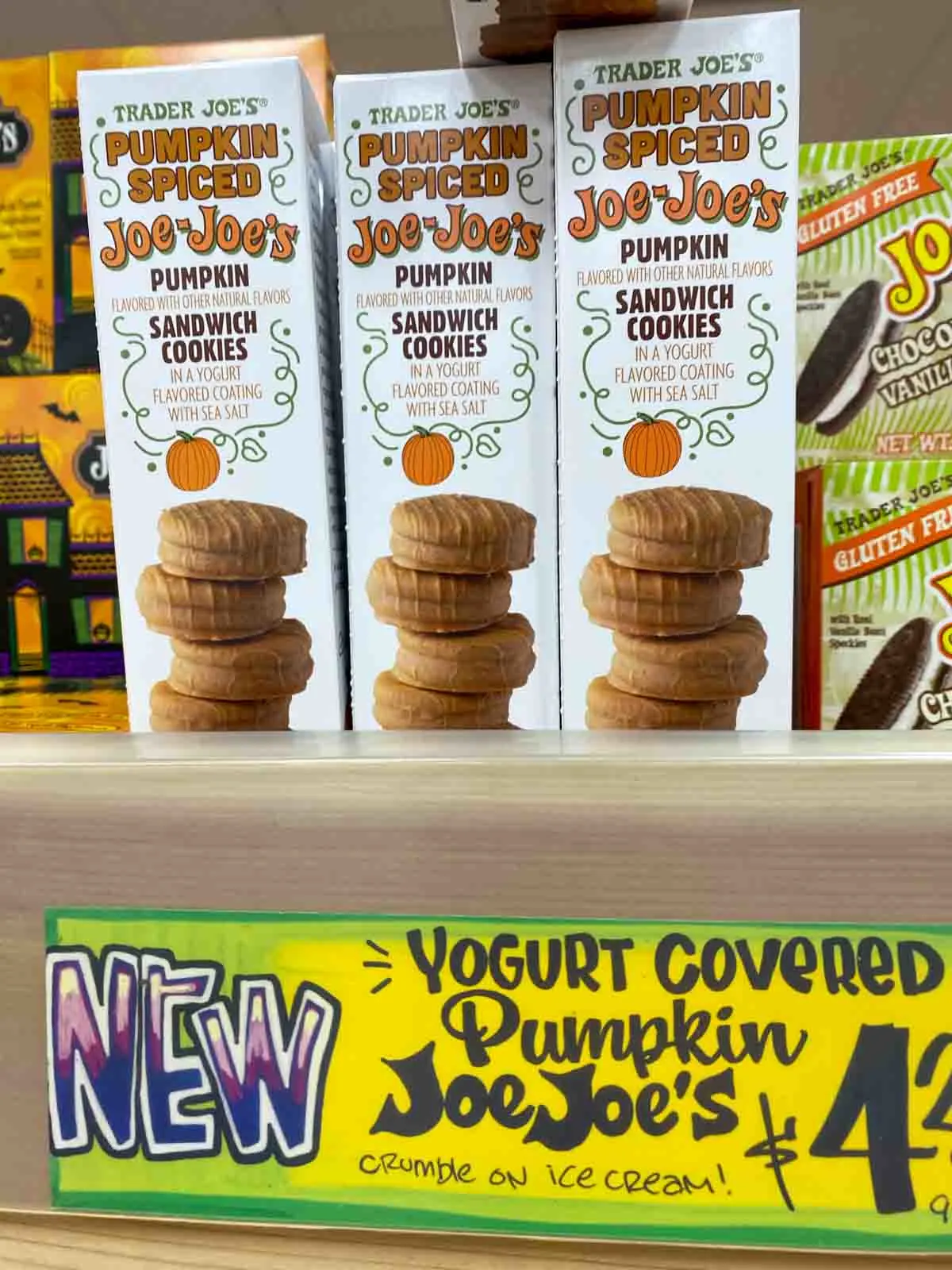 Trader Joe's yogurt covered pumpkin Joe-Joe's on shelf